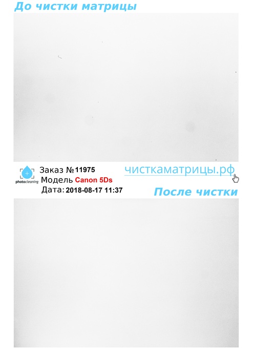 Чистка матрицы Canon 5Ds Чистка матрицы Canon 5Ds